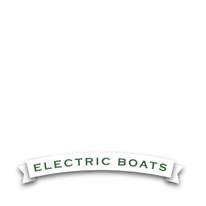 Budsin Logo REV